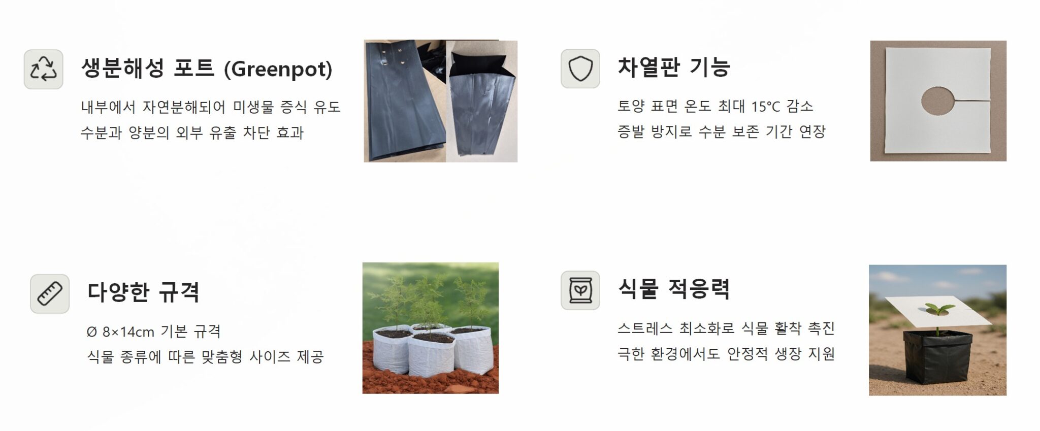 그린포트 효과