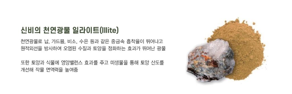 일라이트 소개